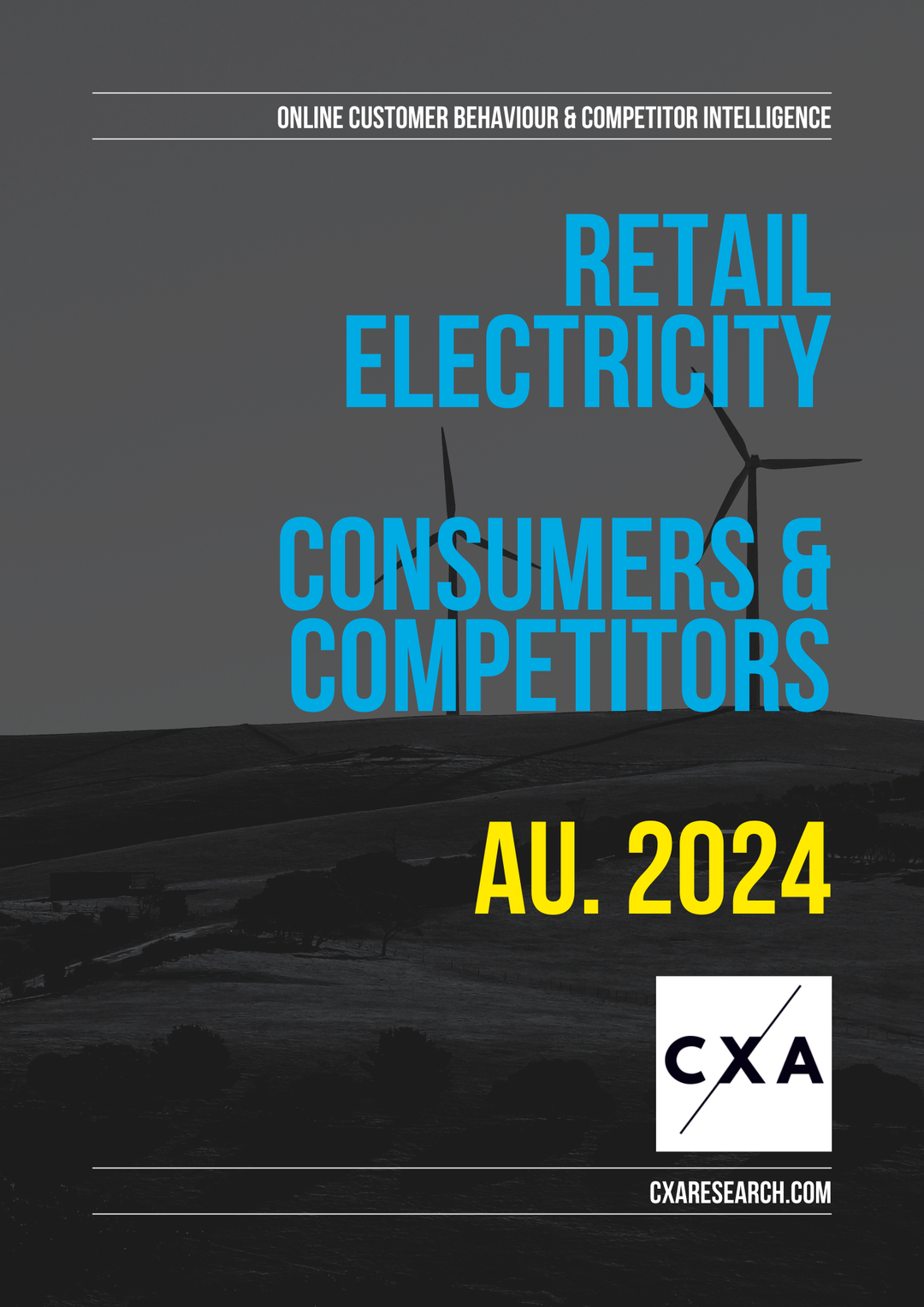 The Retail Electricity Market - AU - customers and competitors